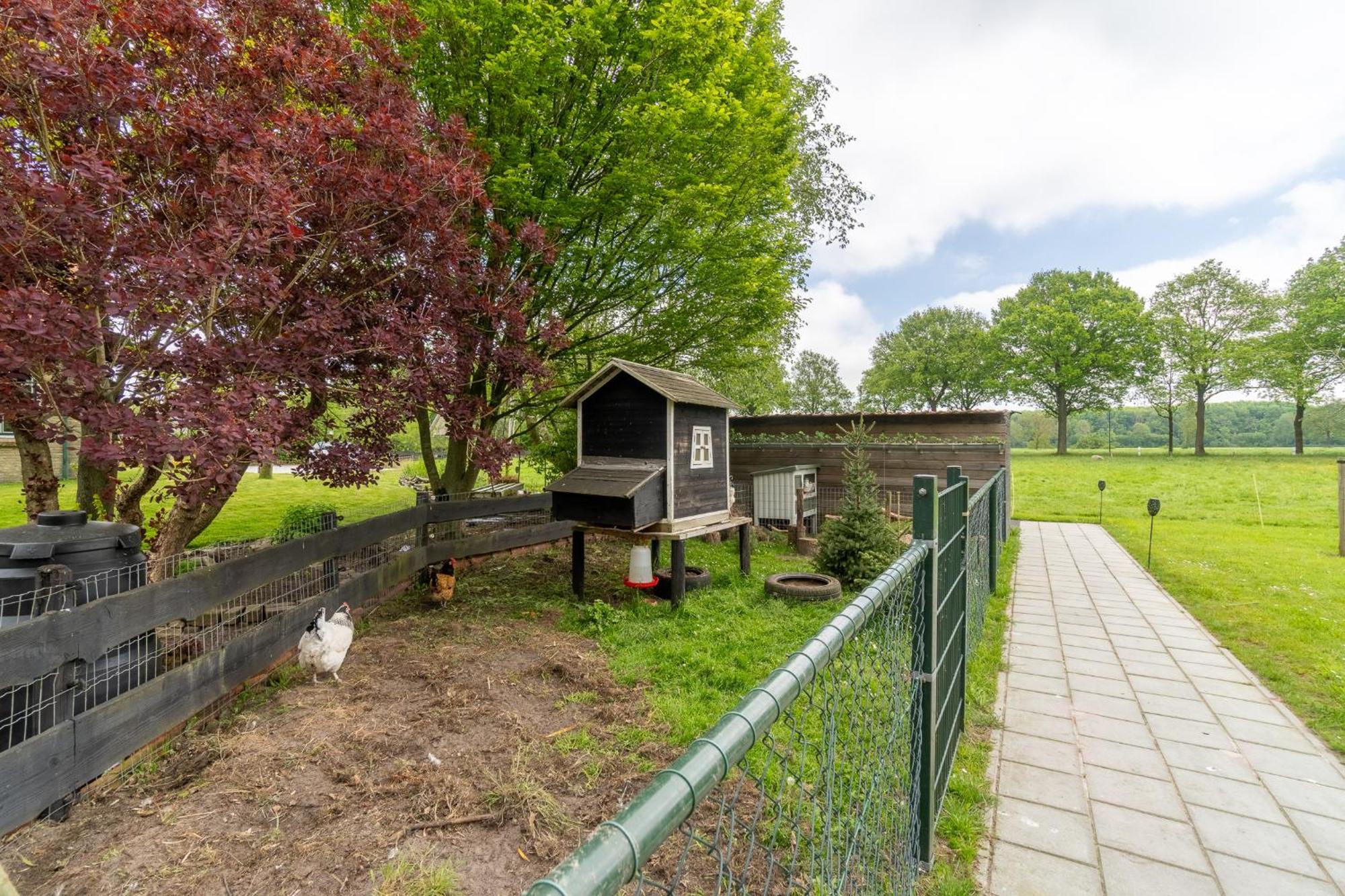 Prive In Een Bosrijke Omgeving Welkom Bij Gastenverblijf Het Ontsnapte Schaap In Jubbega Exterior photo